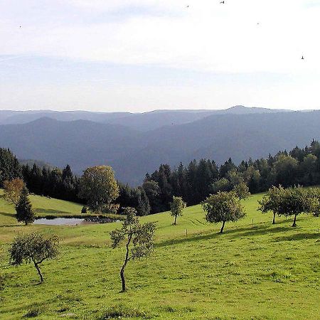 Schanzenberghof Hornberg Bagian luar foto